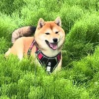 自然を満喫するつくねちゃん