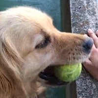 ベランダでボール遊び