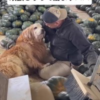 「もう頑張れない…」