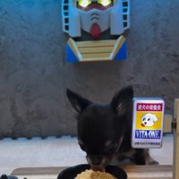 たっぷり愛情を注がれている