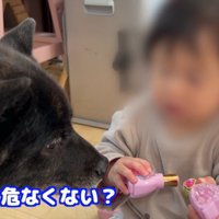 「それ、危なくない？」