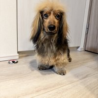 どうして