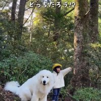 支え合う2人でした