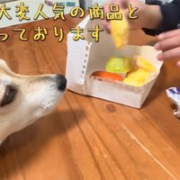 お店屋さんごっこ