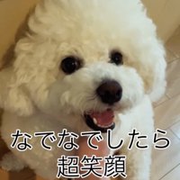 笑顔を見せる犬