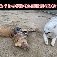 お友達は綺麗なまま