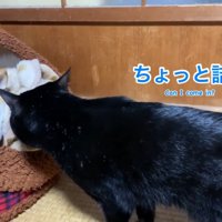「僕も入りたいから詰めて」