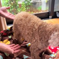 16歳のレッドちゃん