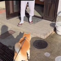 「ただいま～！！」