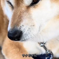 ご不満顔のまま