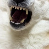 口を開けてくれた！！