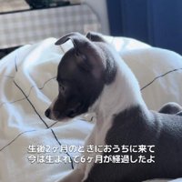 スクスク成長！！