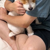 こわい