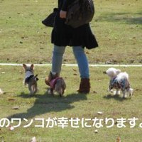 温かな思い出に…