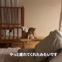 やっと寝てくれました♡