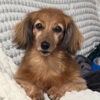 平常時のティナちゃん