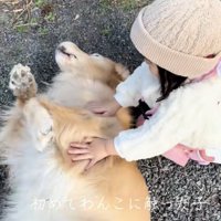 ナデナデ満喫中