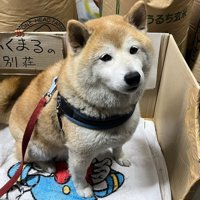 「ふくまるの別荘」