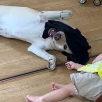 とっても楽しそう♪