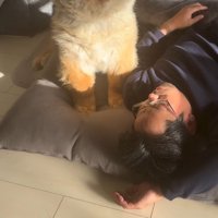 男性に叱られて、女性の顔を見つめる犬