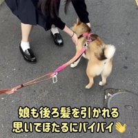 娘さんも寂しいよね