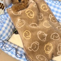 仰向けの犬と布団