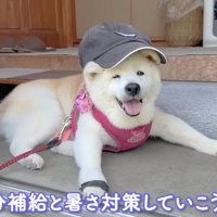 「準備できてますよ」