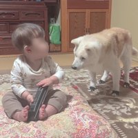 「それ、大丈夫かな？」