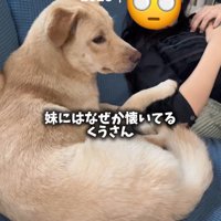 妹さんと仲良し♪