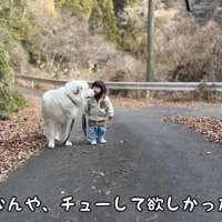 「チューしたかったの？」