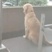 物思いにふけることも…