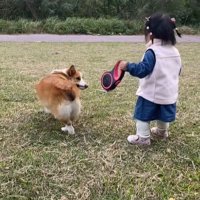 エルモちゃんと娘さん
