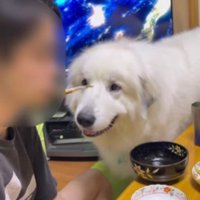 魚を食べると…