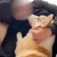 たっぷり撫でてもらいました♡