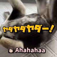 駄々をこねるこうめちゃん