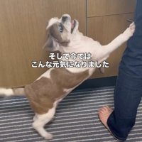 笑顔が戻ってきました