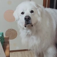 「え…お休み…？」