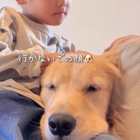 エルくんの表情の変化