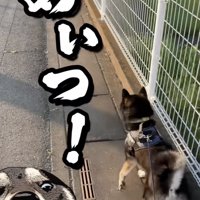 「逃げたな！！」