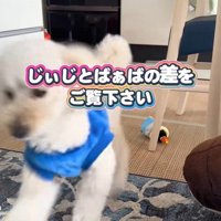 「おばあちゃん、帰ってきた！」