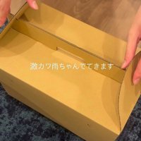 雨ちゃんが家族になった日