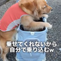 自分から行動開始