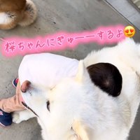 桜ちゃんに抱きつく男の子