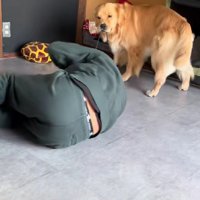 やんちゃなベスちゃん