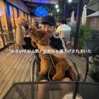 膝の上で遊ぶノアくん2