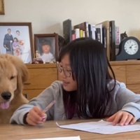 犬の反応に笑顔を見せる女の子