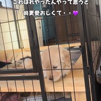 愛おしい姿にホッコリ