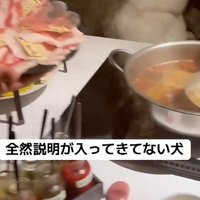 お肉の説明を聞いていたら…