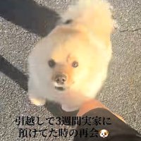 耳が倒れるサニーくん