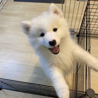 お迎え